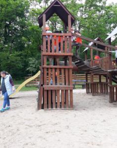Kirándulás a sóstói erdőbe – élmény és feltöltődés a természetben